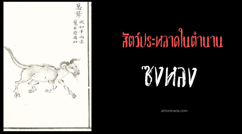 ซงหลง (Conglong) แพะแผงคอแดง ประเทศจีน
