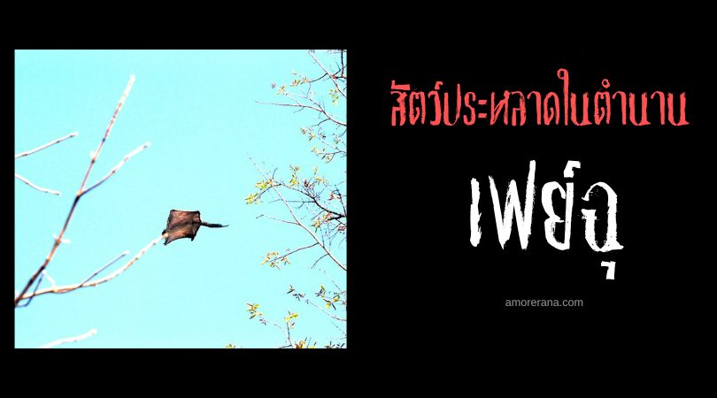 เฟย์ฉุ (Feishu) กระต่ายบิน ประเทศจีน
