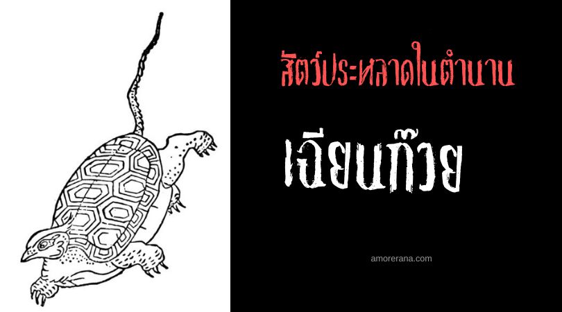 เฉียนก๊วย (Xuangui) เต่าหัวนก ประเทศจีน