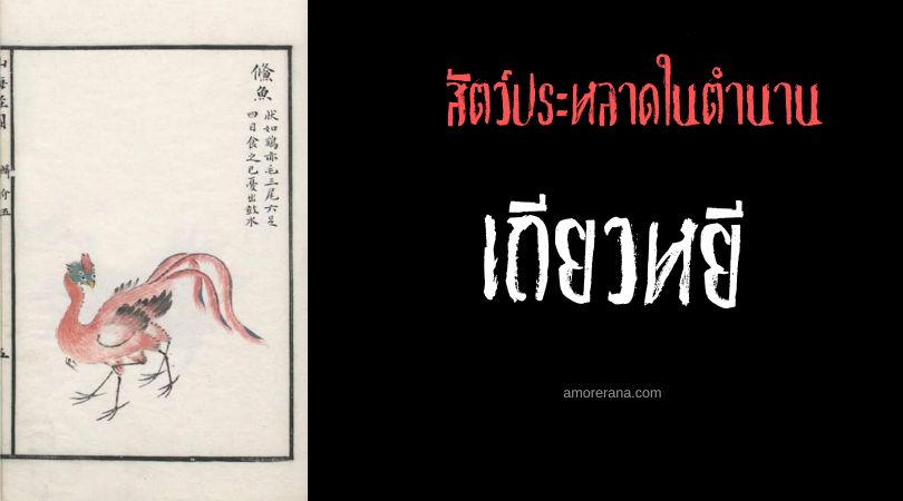 เถียวหยี (Tiaoyu) ไก่สี่ตา ประเทศจีน