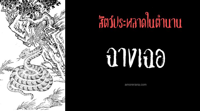 ฉางเฉอ (Zhangshe) งูขน ประเทศจีน