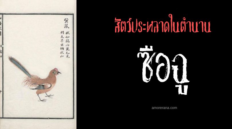ซือฉู (Cishu) นกอัปมงคล ประเทศจีน