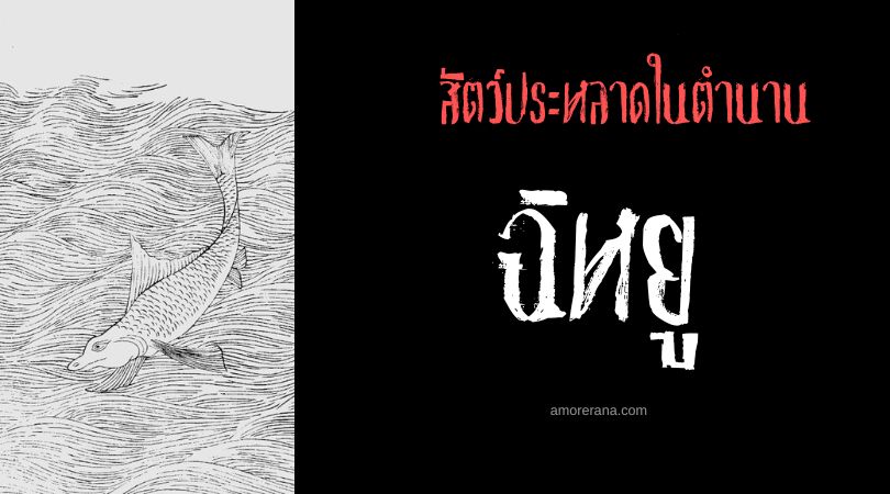 ฉิหยู (Yiyu) ปลาสมองสุนัข ประเทศจีน