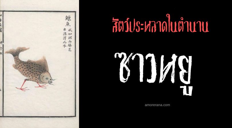 ซาวหยู (Zaoyu) ปลาคาร์ฟตีนไก่ ประเทศจีน