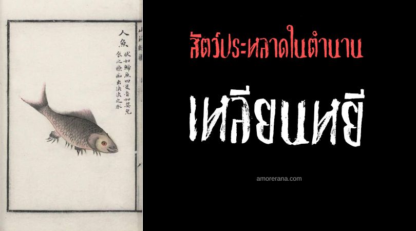 เหลียนหยี (Renyu) ซาลาแมนเดอร์มัจฉา ประเทศจีน