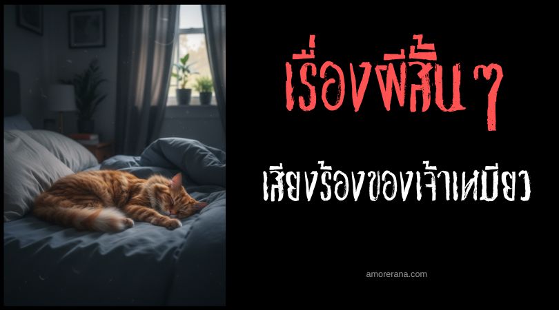 เล่าเรื่องผีหลอน ๆ : เสียงร้องของเจ้าเหมียว