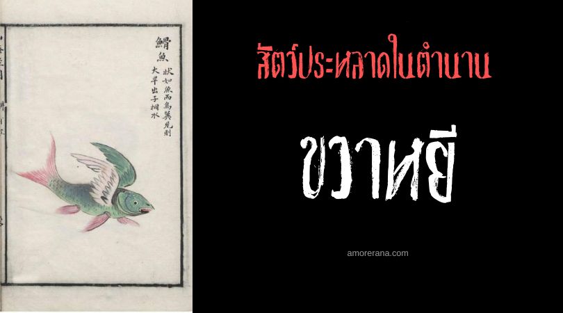ขวาหยี (Huayu) ปลามีปีก ประเทศจีน