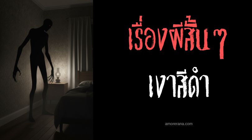 เล่าเรื่องผีหลอน ๆ : เงาสีดำ
