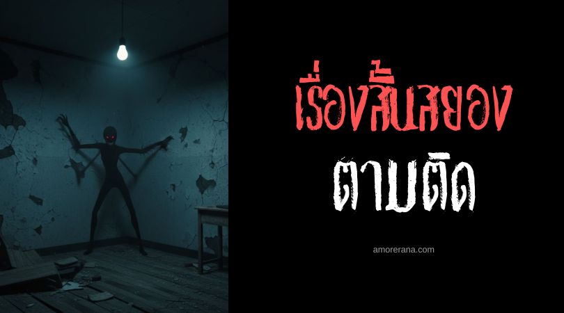 เล่าเรื่องผีหลอน ๆ : ตามติด