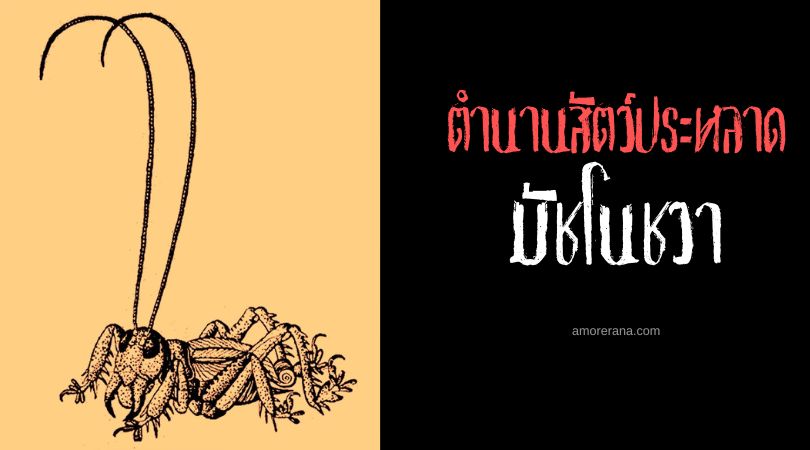 มัชโนชวา (Muchnochwa) สัตว์ประหลาดฟันหน้า ประเทศอินเดีย